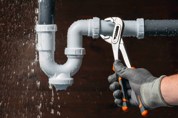Professional Plumbing technician working in Ray, MI